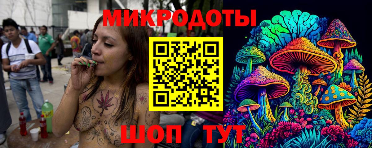 Галлюциногенные грибы Psilocybine cubensis Бутурлиновка