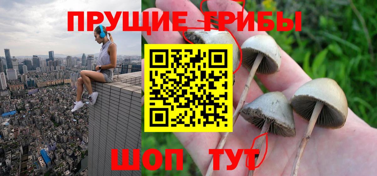 Бутурлиновка  Псилоцибиновые грибы GOLDEN TEACHER  Вход с VPN  Псилоцибиновые грибы Cubensis 